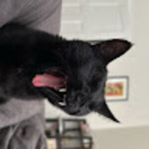 Meet your Posher, Chloe